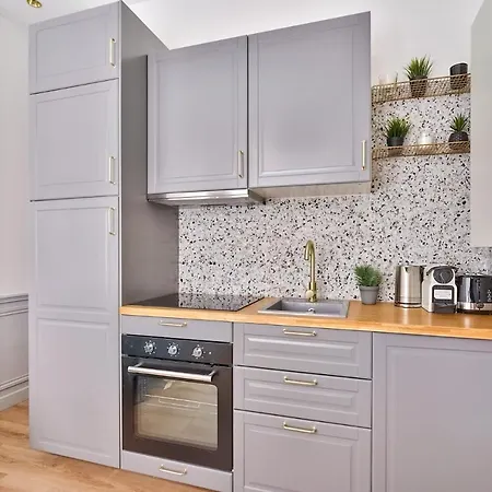 Newly Renovated ! Stunning 2br In The Heart Of 15 Apartment Paris